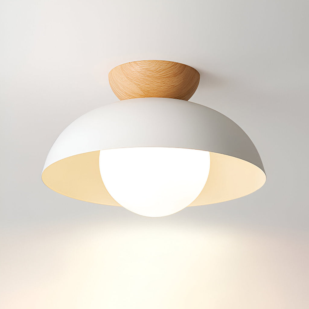 Nordic Minimalist Eco Iron Shade Ceiling Light