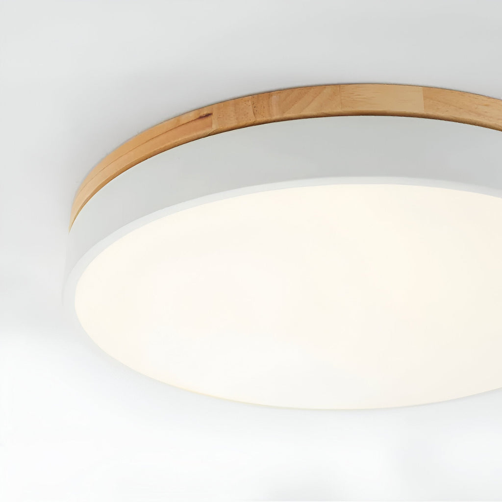Nordic LED Round Flush Acrylic Minimalist Ceiling Light