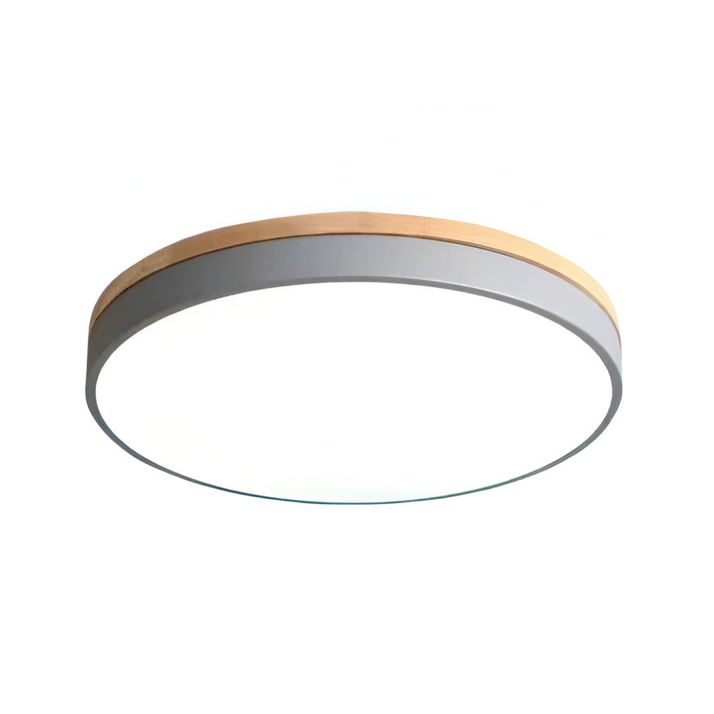 Nordic LED Round Flush Acrylic Minimalist Ceiling Light