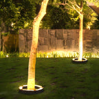 Daniel | 24V Arch-Shaped LED Garden Spotlight for Illuminating Trees