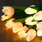 Hessel | Warm Light LED Tulip Night Lamp