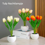 Hessel | Warm Light LED Tulip Night Lamp