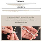 Jonathan | Natural Dried Pampas Grass Decor