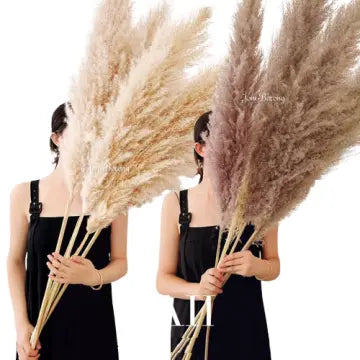 Jonathan | Natural Dried Pampas Grass Decor