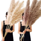 Jonathan | Natural Dried Pampas Grass Decor