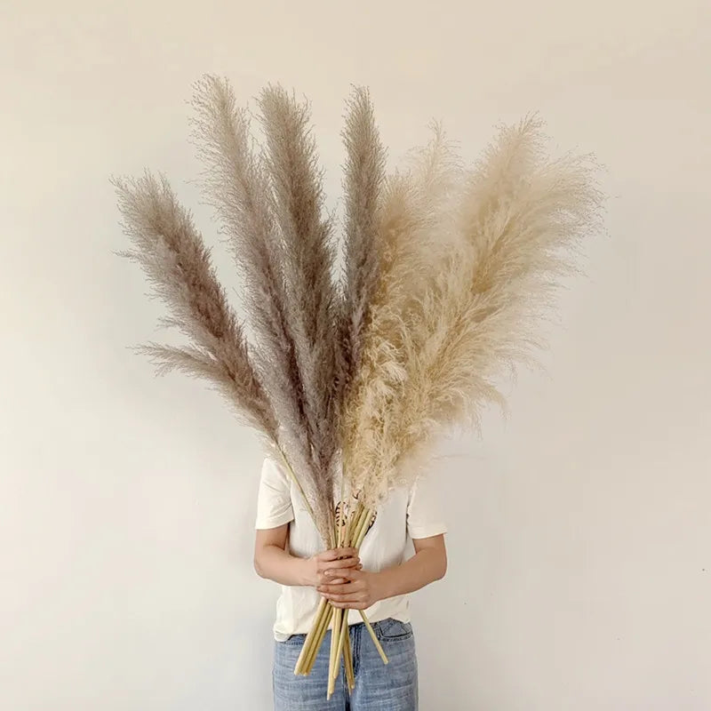 Jonathan | Natural Dried Pampas Grass Decor