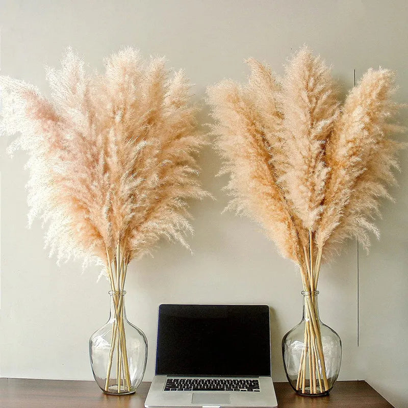 Jonathan | Natural Dried Pampas Grass Decor