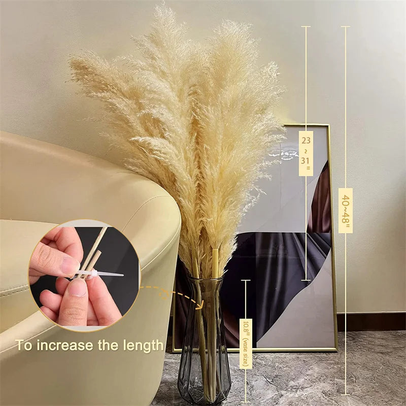 Jonathan | Natural Dried Pampas Grass Decor