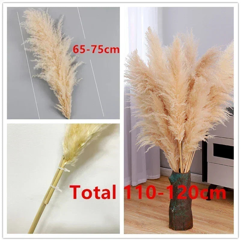 Jonathan | Natural Dried Pampas Grass Decor