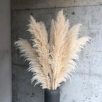 Jonathan | Natural Dried Pampas Grass Decor