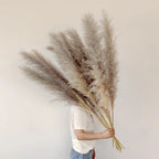 Jonathan | Natural Dried Pampas Grass Decor