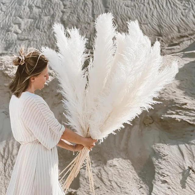 Jonathan | Natural Dried Pampas Grass Decor