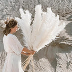 Jonathan | Natural Dried Pampas Grass Decor