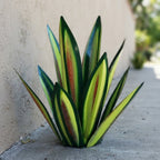 Tim | Solar LED Metal Agave Garden Ornament