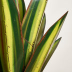 Tim | Solar LED Metal Agave Garden Ornament